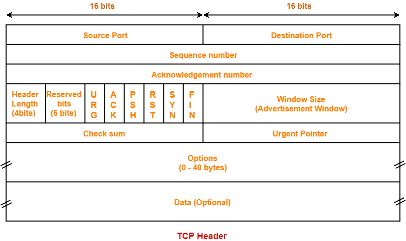 TCP header